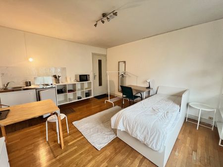 Location Appartement 1 pièce 26m² GRENOBLE 38000 - Photo 5