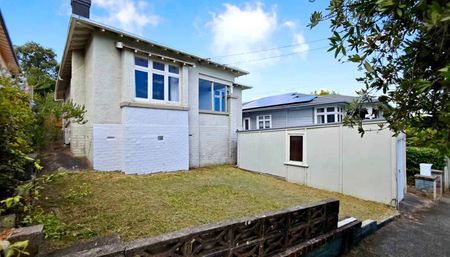 3 bedroom in heart of Grey Lynn - Photo 3