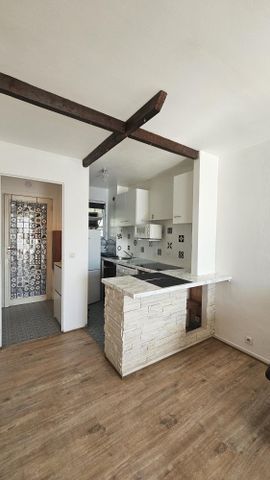 Location Appartement 1 pièce 30m² ST LAURENT DU VAR 06700 - Photo 5