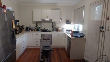 Coorparoo - Photo 4