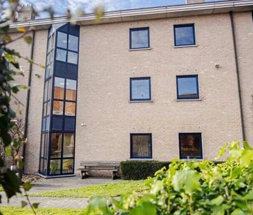 Woning te huur in Aartrijke voor € 840 met 1 slaapkamer - Photo 2