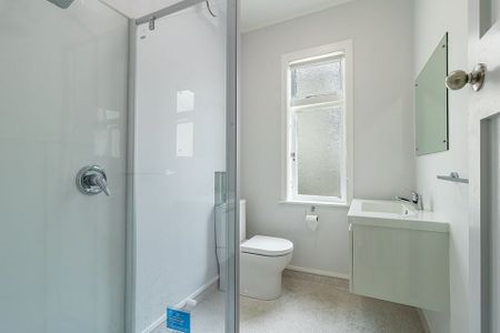 Large Renovated 1 Bedroom Unit - Photo 5