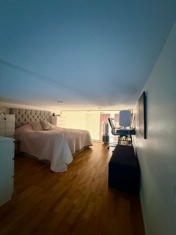 Storseglet, Vega - Foto 3