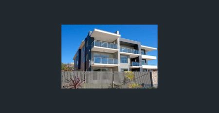 Modern Coastal Living Directly Opposite Narrabeen Beach - Photo 4