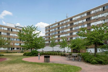 Stora Kvarngatan 59 - Photo 5