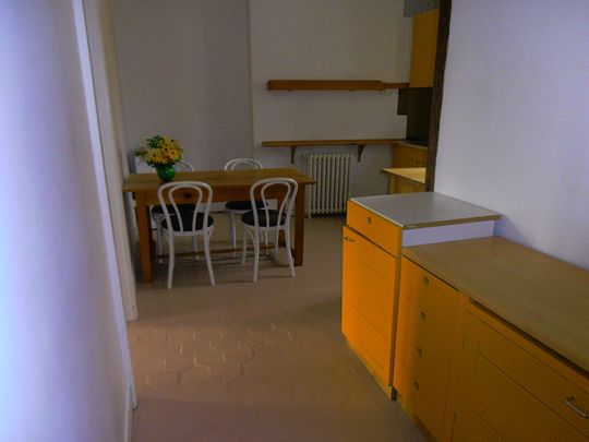 Location Appartement 1 pièce 46m² - Photo 1