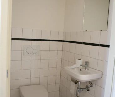 Arminiaanse Glop 2 - Photo 6