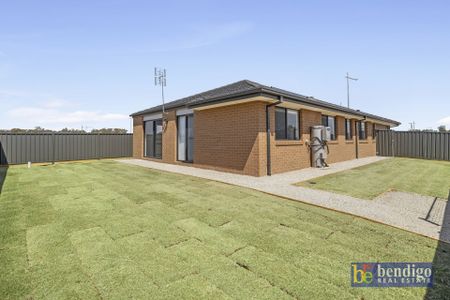 Modern & Spacious Family Home in Huntly - Photo 5