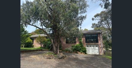 Picture Perfect! - Photo 5