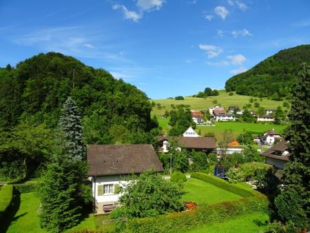 Heimelige Wohnung mit Cheminée - Foto 4