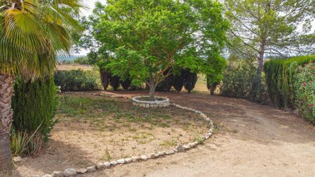 3 room luxury Farmhouse for rent in Santa Margalida, Spain - Photo 3