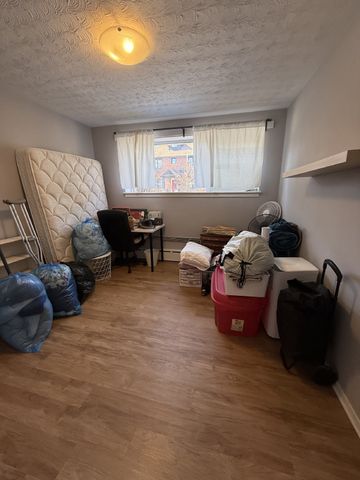 1 - 500 Clarence Street - Photo 5