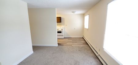 Bright, 3rd Floor 2 Bed Apartment in Quiet, Mature Neighbourhood - Photo 4