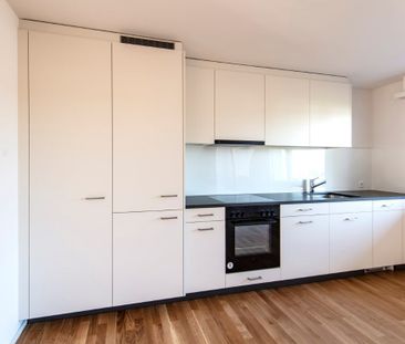 Totalsanierte 2.5-Zimmer-Wohnung mit sonnigem Balkon in Hinwil - Photo 2