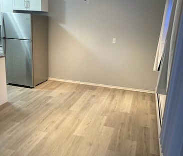 RENOVATED Condo Suite – Available DEC 15th - Photo 3