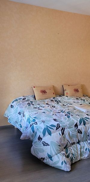 Location Appartement 1 pièce 23m² - Photo 1