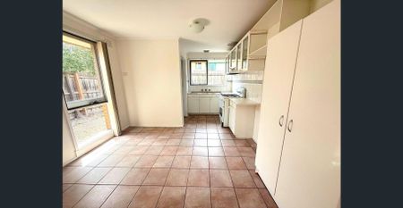 HOW BIG’S YOUR COURTYARD? - Photo 3