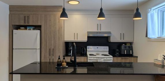 Grand bachelor 4 1/2 à louer Saint-Eustache - Photo 2