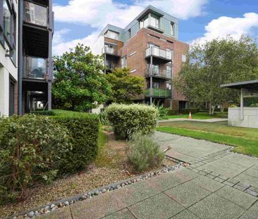 Ivy Exchange, Parnell Street, Dublin 1 - Photo 3