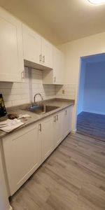 Renovated 1-Bed 1-Bath Unit in Mount Pleasant - Photo 3