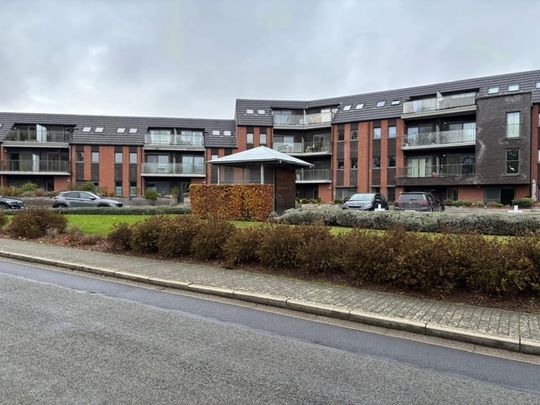 Huis te huur - Photo 1