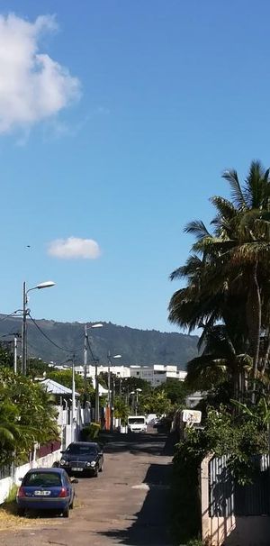 Location Appartement 1 pièce 20m² STE CLOTILDE 97490 - Photo 1