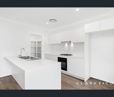 19 Anston Street, Farley, NSW 2320 - Photo 4