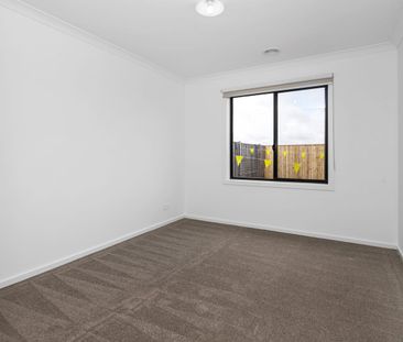 FAMILY COMFORT & SPACE IN SMYTHES CREEK - MINUTES FROM DTC ! - Photo 3