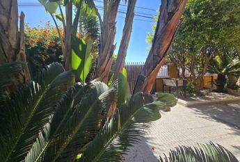 Moradia T4 em Setúbal