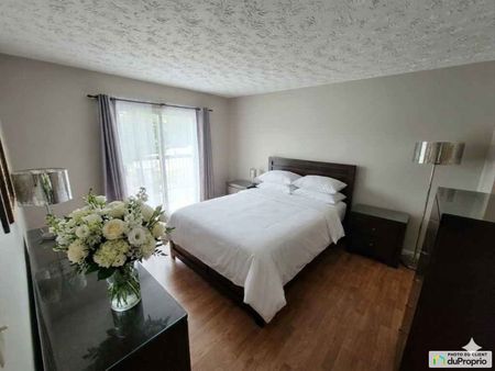 680, Alexandre-Vigneault, Sherbrooke (Jacques-Cartier) à louer - Photo 3