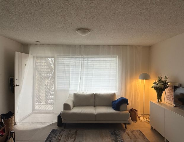 5/22 Leonard Avenue, Surfers Paradise QLD 4217 - Apartment For Rent | Domain - Photo 1