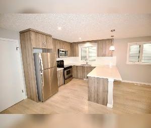 3 Bed 2 Bath House Dbl Garage For Rent NE Calgary Martingrove - Photo 6