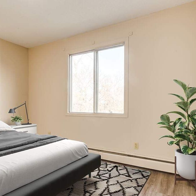 Renovated Suite - 2 Bedroom - Photo 1