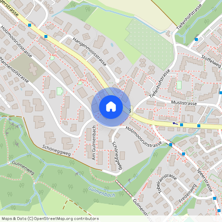 Holzmoosrütistr. 6b, 8820 Wädenswil