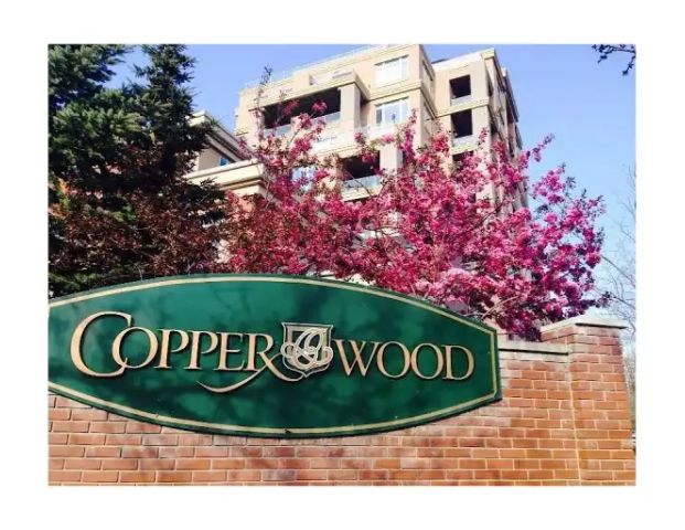 Spacious 2 Bedroom and 2 bathroom condo | 7102 - 14 Hemlock Crescent SW, Calgary - Photo 1
