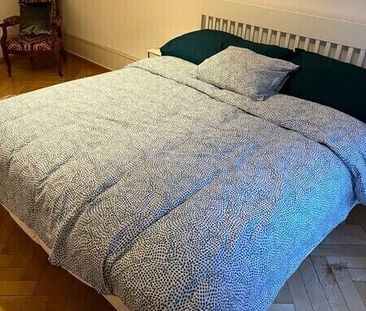 3-ROOM APARTMENT IN BIEL/BIENNE (BE), FURNISHED, TEMPORARY RENTAL - Photo 2