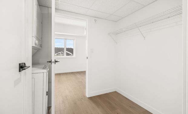 Pine: Grey Cabinets – 225 Peguis, Winnipeg, MB - Photo 1