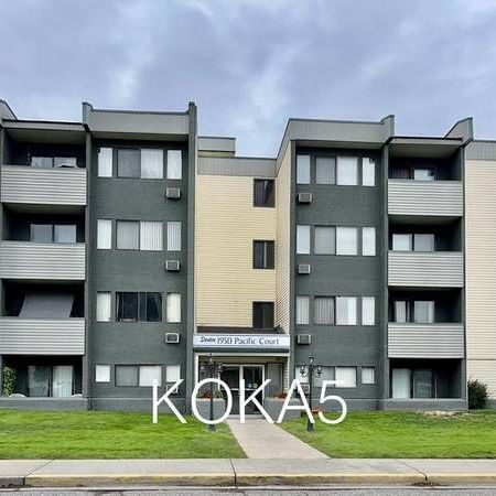 (KOKA5) Pet Friendly Unit Available In Beautiful - Photo 1