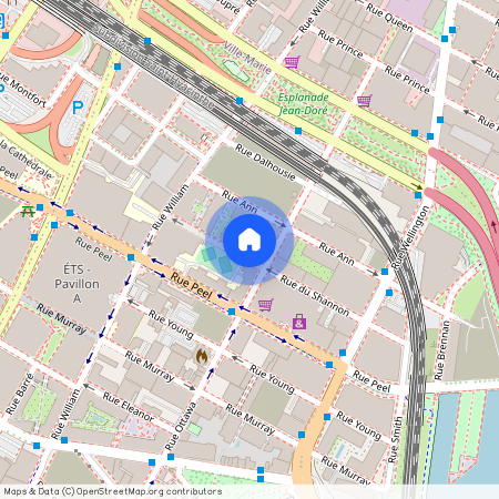297 Rue du Shannon, #806, Montréal (Le Sud-Ouest)