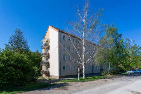 Gemütliche, helle Wohnung in Sanierung - Photo 4