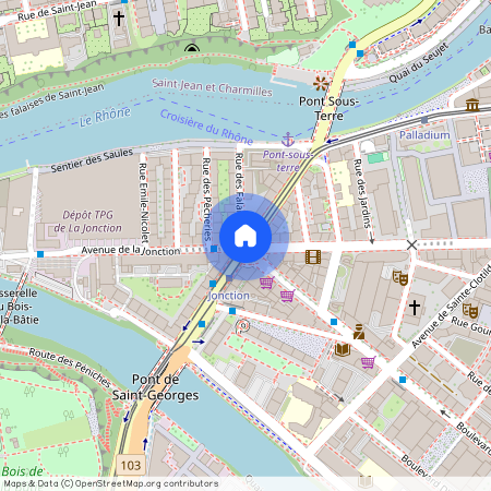 rue des Deux-Ponts, 1205 Genève