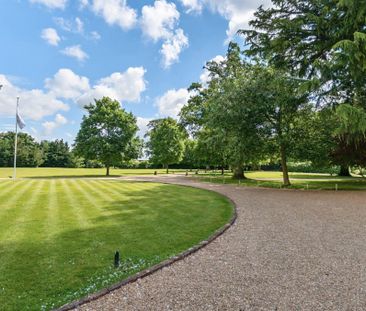 1 Bedroom - Northbrook Estate, Farnham Road - Photo 3