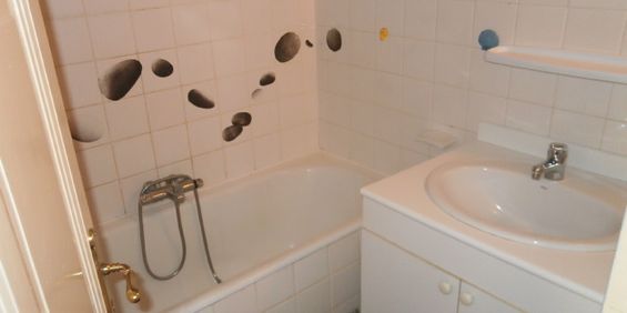 ALBI SUR COTEAUX MAISON T3 LOUE - Photo 3