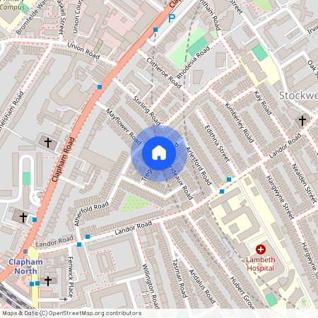 Tregothnan Road, London, SW9