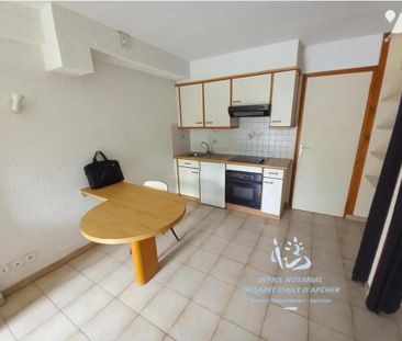 A LOUER STUDIO MEUBLE SAINT CHELY D APCHER - Photo 3