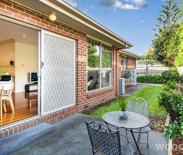 Spacious single level stunner with school zone appeal - Photo 3