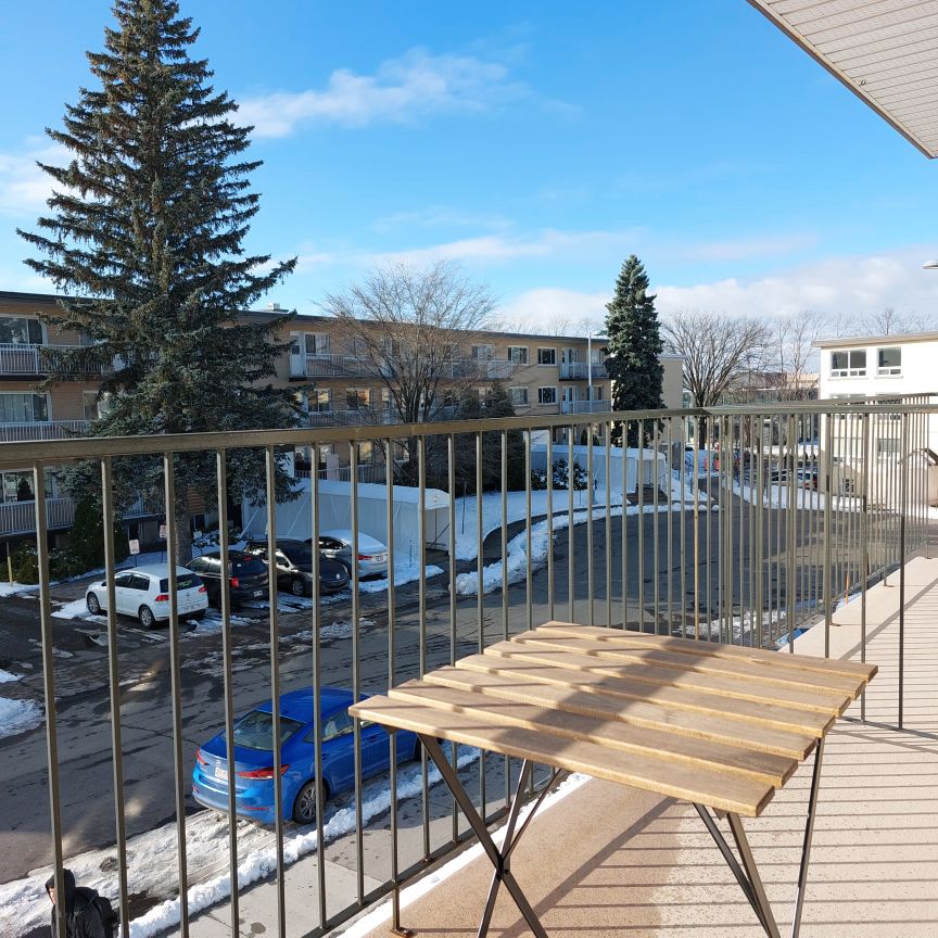 Grand 2 1/2 lumineux près de l’Université Laval / Cégep St-foy – Cessation de bail (janvier à juillet) renouvelable - Photo 1