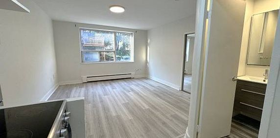 140 SPRINGHURST AVE. #14 - NEWLY RENO'D STUDIO/1BATH, MINUTES TO TTC - Photo 2