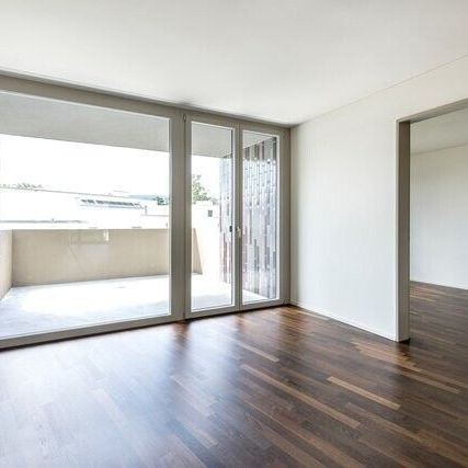 Endlich daheim - Moderne Eleganz mit Gartensitzplatz - Foto 1