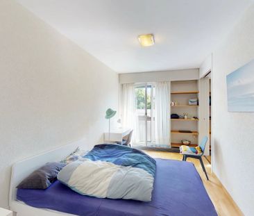 Furnished 3-room apartment, close to the United Nations - Geneva - Foto 3